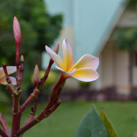Touch Star Resort - Doi Inthanon Chom Thong Dış mekan fotoğraf
