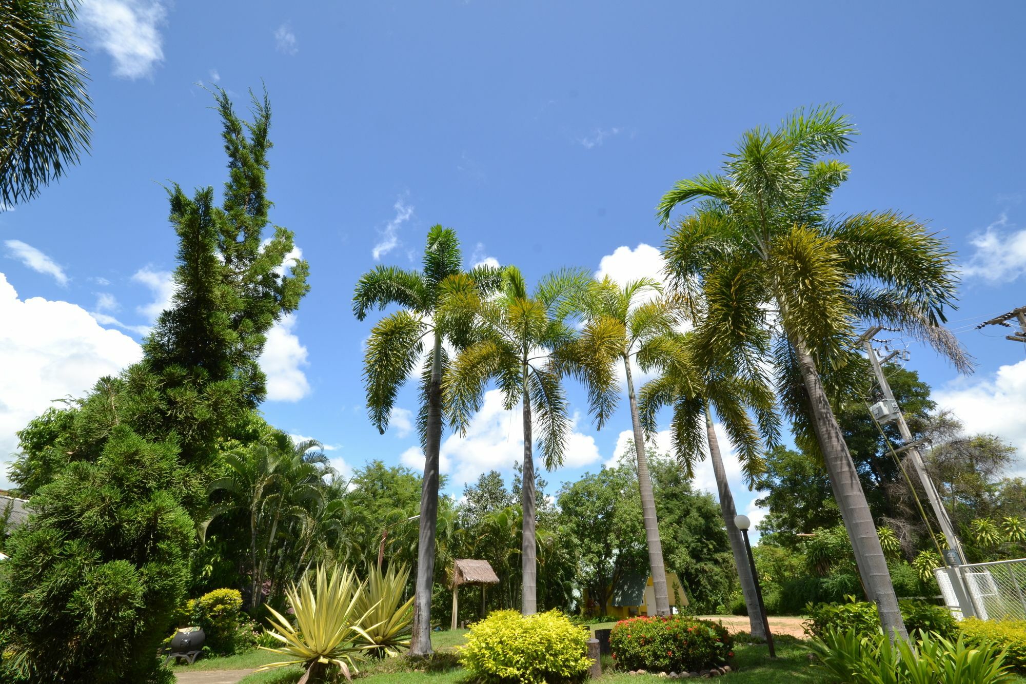 Touch Star Resort - Doi Inthanon Chom Thong Dış mekan fotoğraf